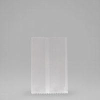 Frosted Transparent Pouch Flat 