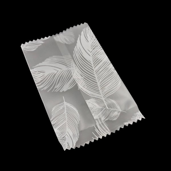 Frosted Transparent Pouch Flat 